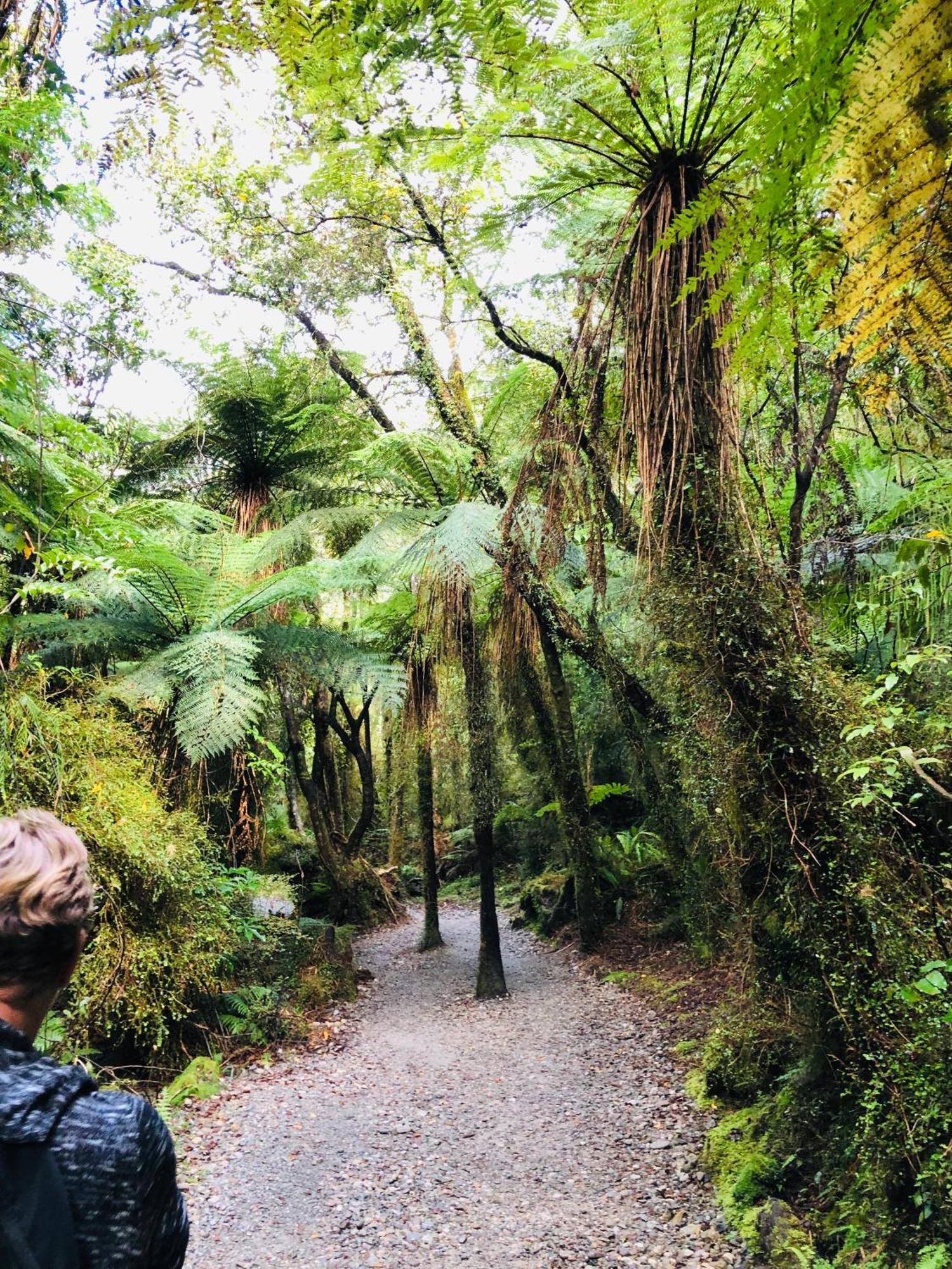 Amberlea B&B Hokitika Luaran gambar
